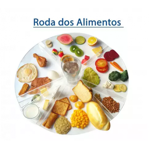 Roda dos Alimentos + Réplicas de Porção de Alimentos